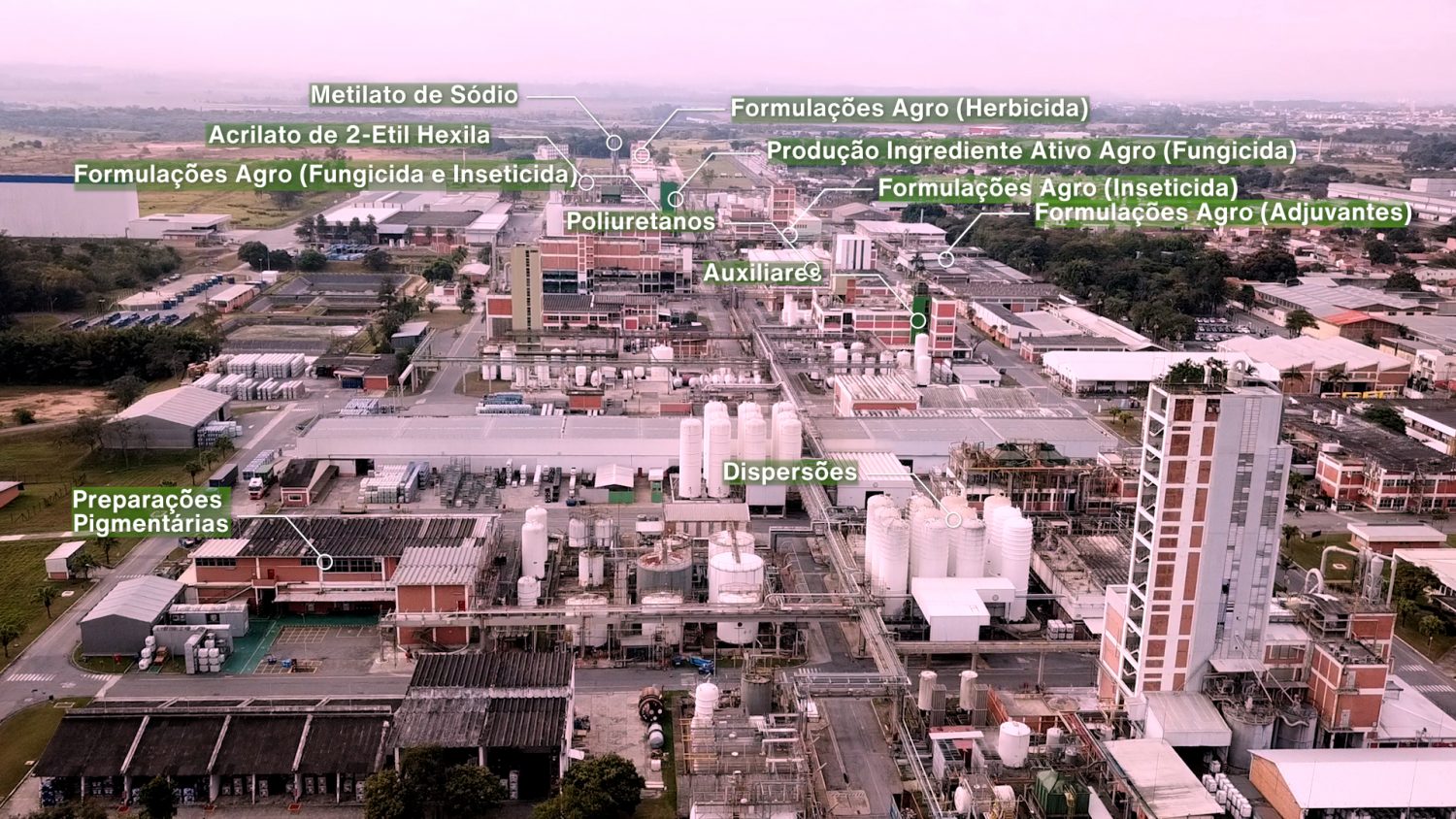 Institucional_BASF_STPA